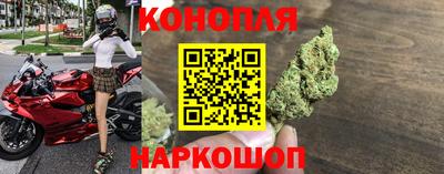 стаф Кунгур
