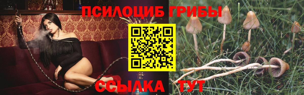 Псилоцибиновые грибы прущие грибы  закладки  Чита  Вход с VPN 